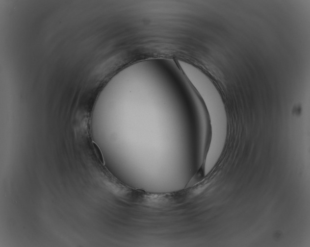 X0000090910141200708271012