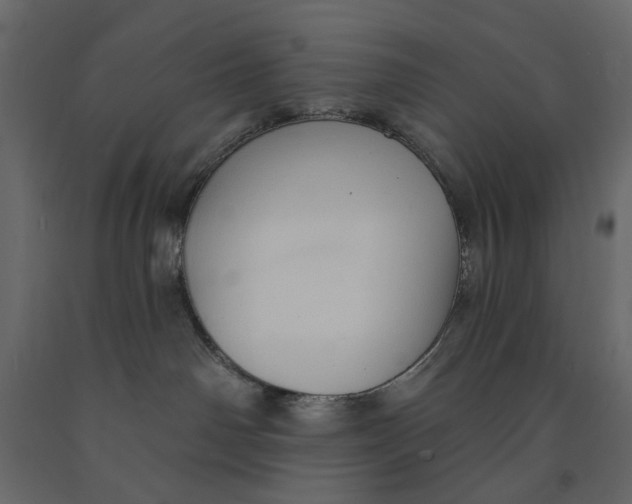 X0000090910142200708271012