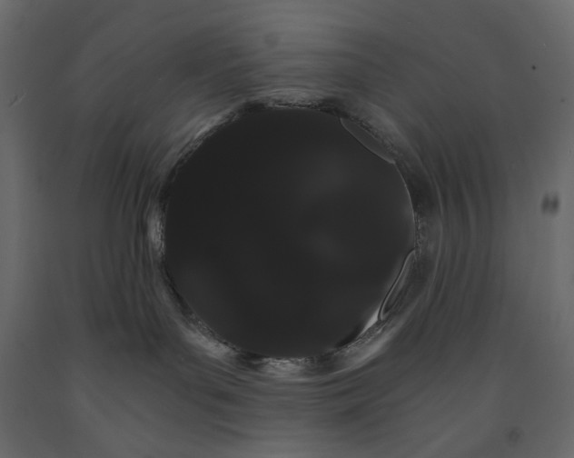 X0000090910143200708271012