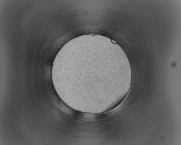 X0000090910144200708271012