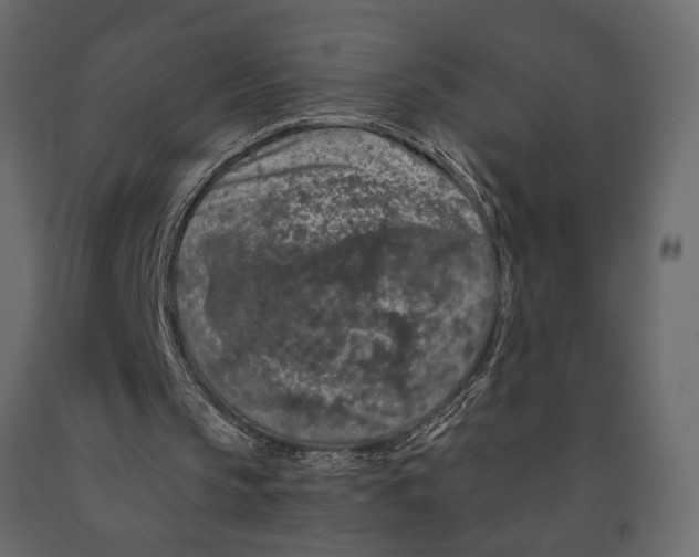 X0000090910145200708271011