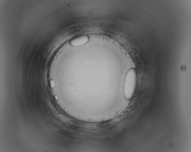 X0000090910146200708271011