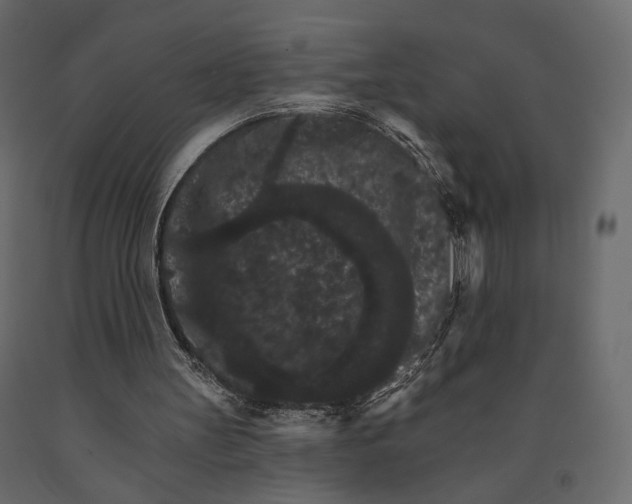 X0000090910147200708271011