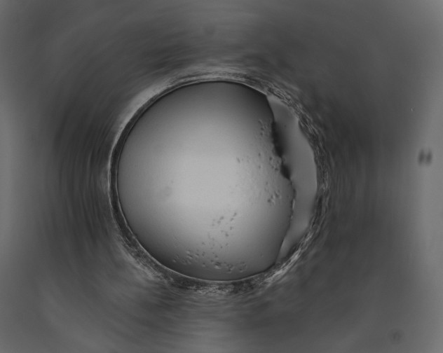 X0000090910148200708271011