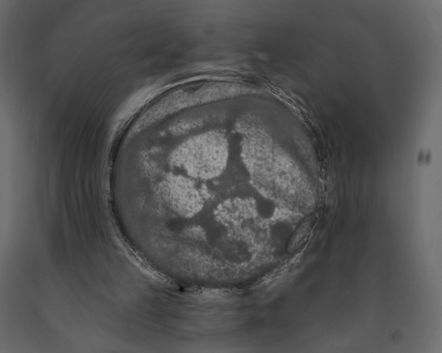 X0000090910149200708271011