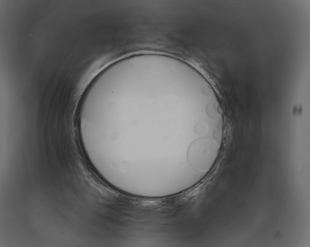 X0000090910151200708271011