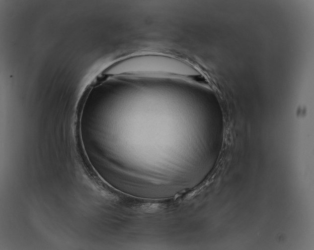 X0000090910152200708271011