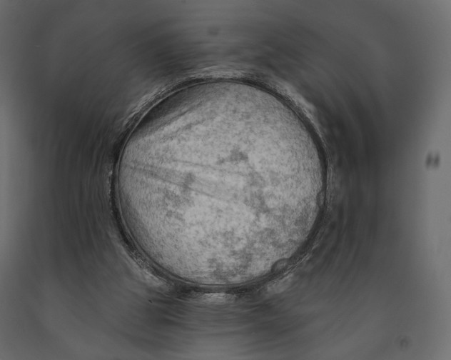 X0000090910153200708271011