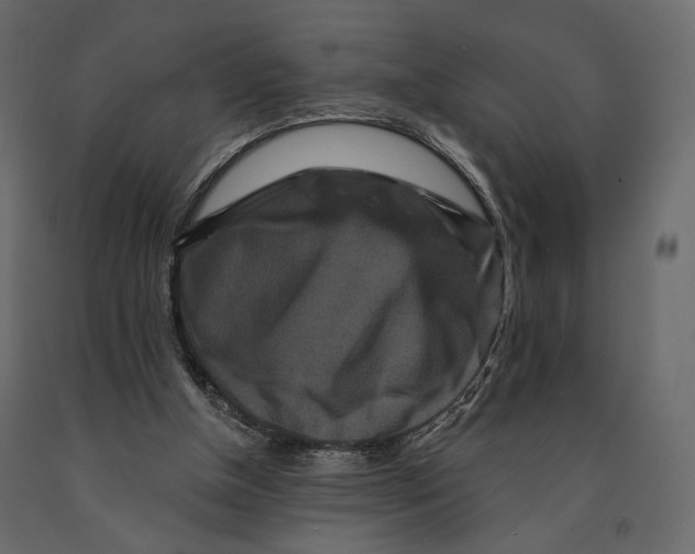 X0000090910154200708271011