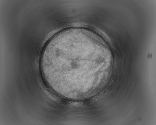 X0000090910155200708271011