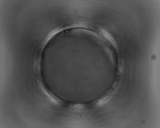 X0000090910156200708271011