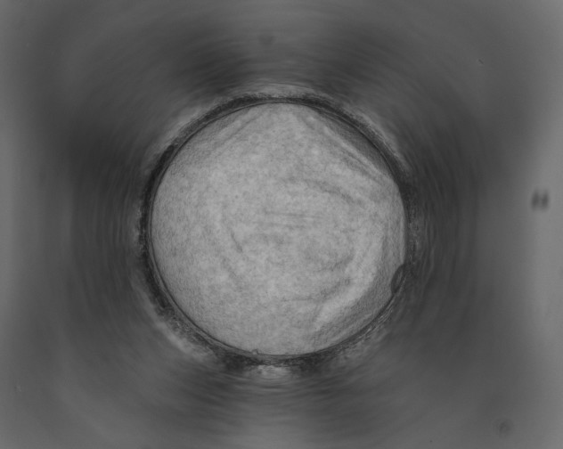 X0000090910159200708271011