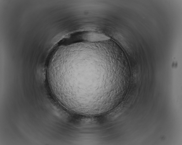 X0000090910160200708271012