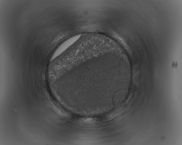 X0000090910161200708271012