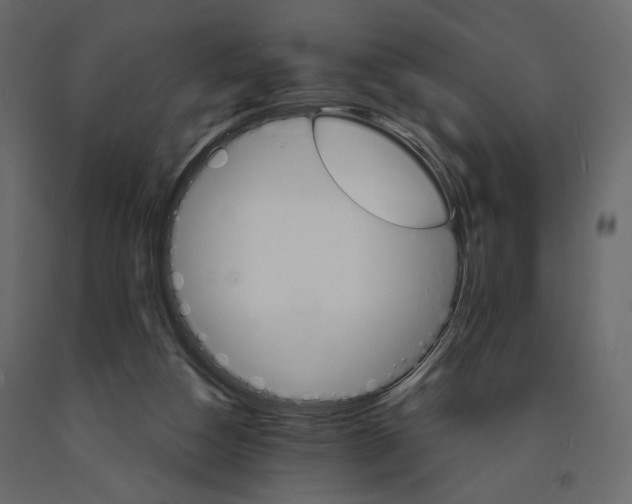 X0000090910162200708271012