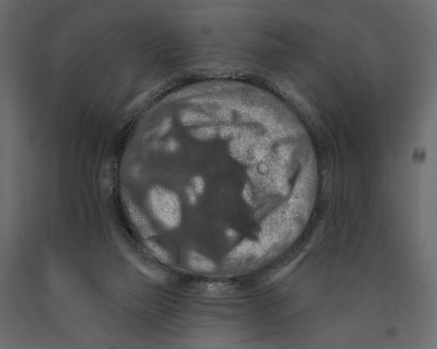 X0000090910165200708271012