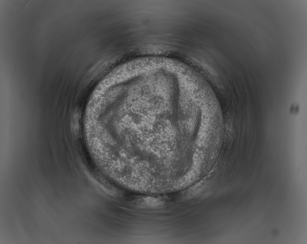 X0000090910166200708271012