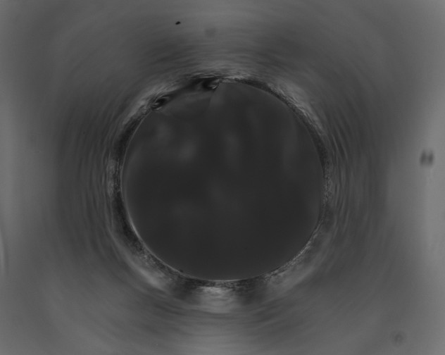 X0000090910167200708271012