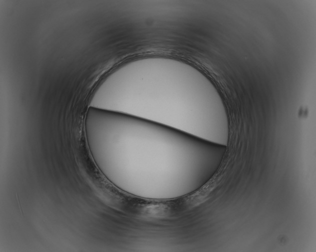 X0000090910168200708271012