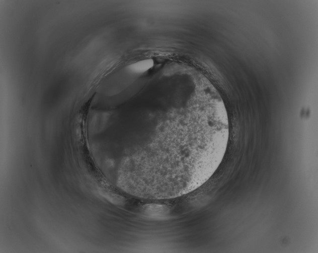 X0000090910169200708271012