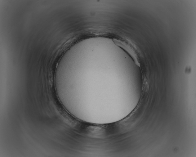 X0000090910170200708271012