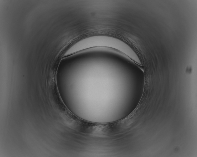 X0000090910172200708271012