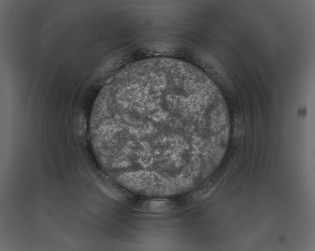 X0000090910173200708271012