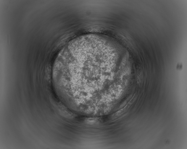 X0000090910175200708271012