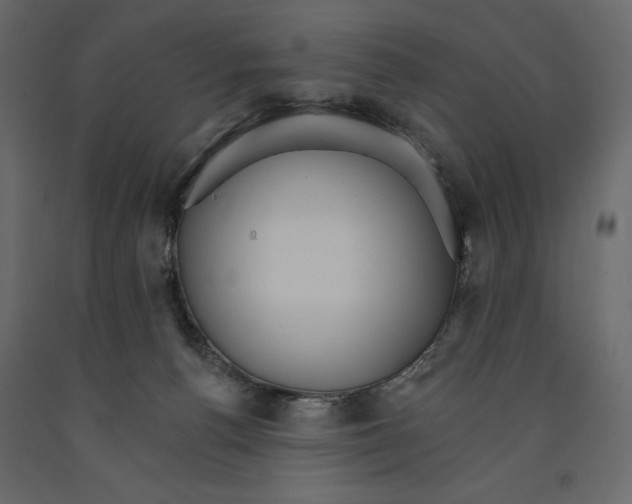 X0000090910176200708271012