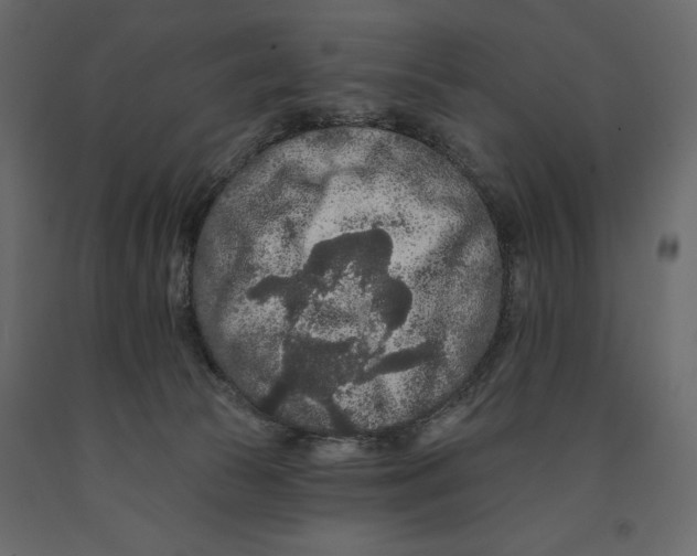 X0000090910177200708271012