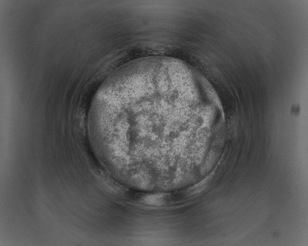 X0000090910178200708271012