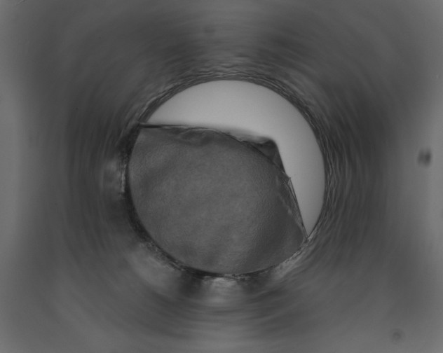 X0000090910180200708271012