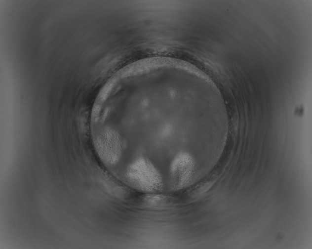 X0000090910181200708271012