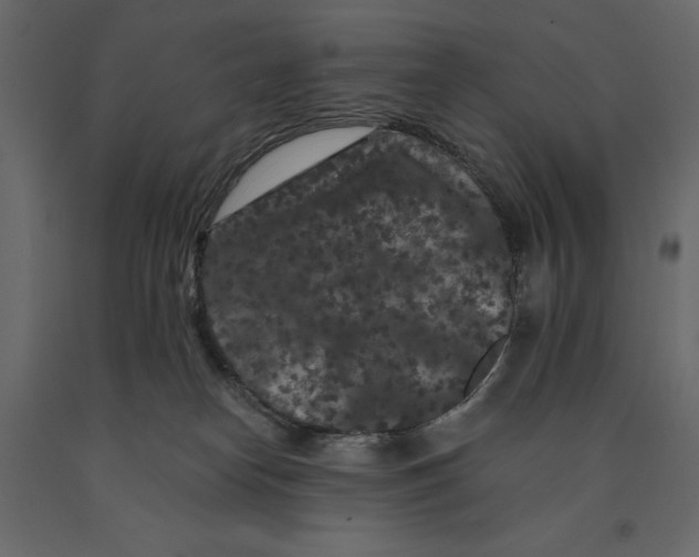 X0000090910182200708271012