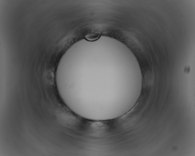 X0000090910183200708271012