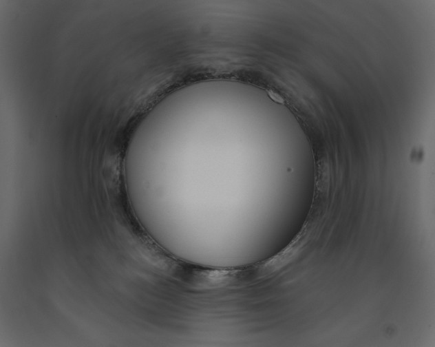 X0000090910184200708271012