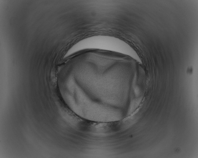 X0000090910186200708271012