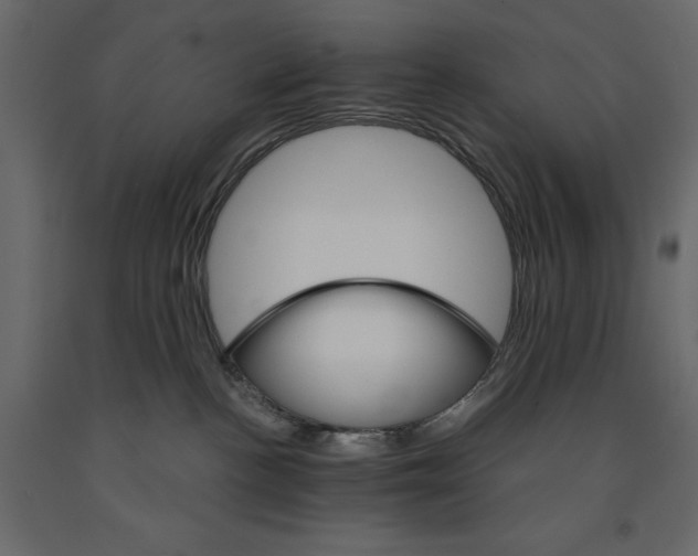 X0000090910188200708271012