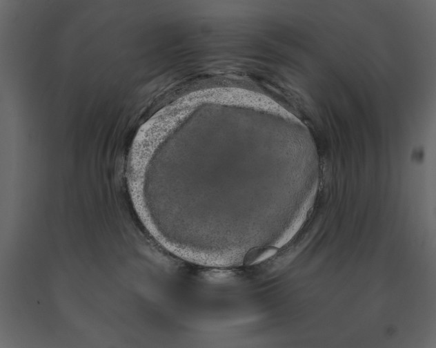 X0000090910189200708271012