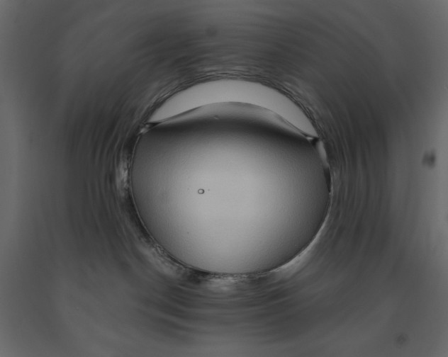 X0000090910190200708271012