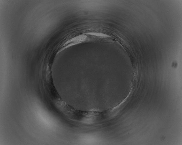 X0000090910191200708271012