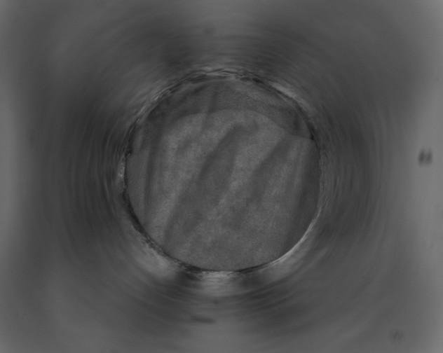 X0000090910192200708271012