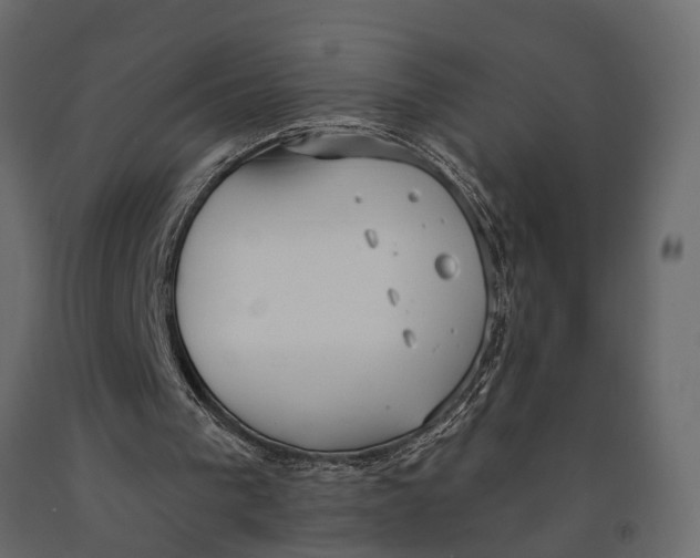 X0000090910193200708271011