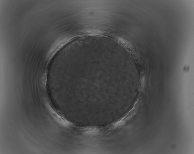 X0000090910194200708271011