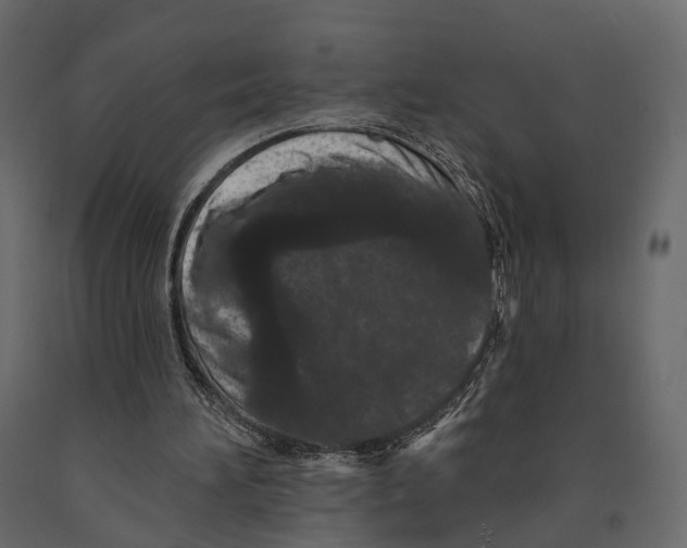 X0000090910196200708271011