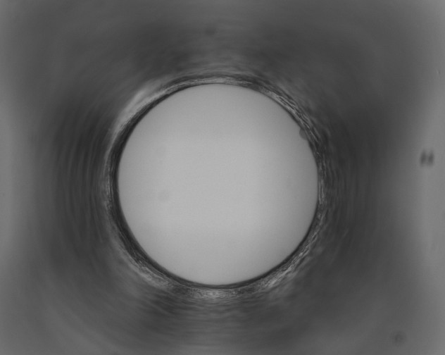 X0000090910198200708271011