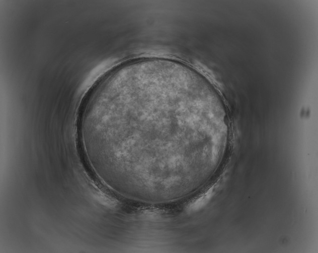 X0000090910199200708271011