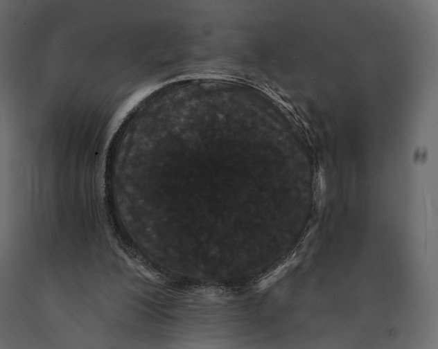 X0000090910200200708271011