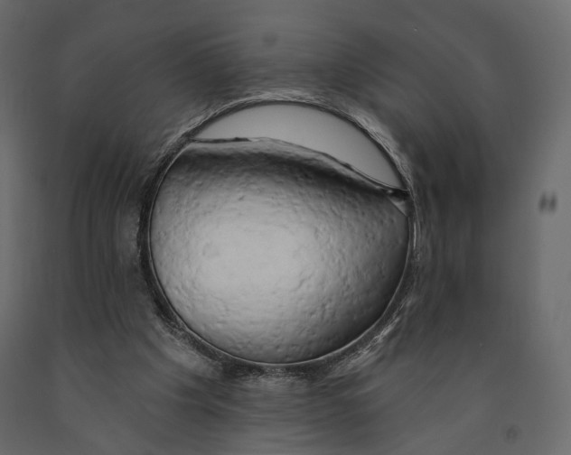 X0000090910201200708271011