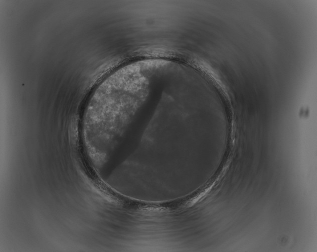 X0000090910202200708271011